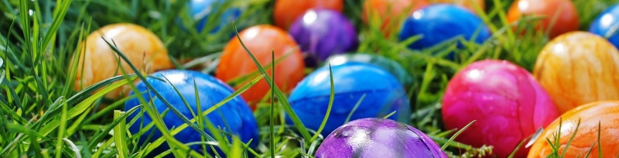 Schwäbischer Albverein | Ortsgruppe Dettingen/Alb